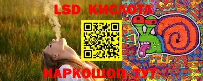 PSILOCYBIN Можга