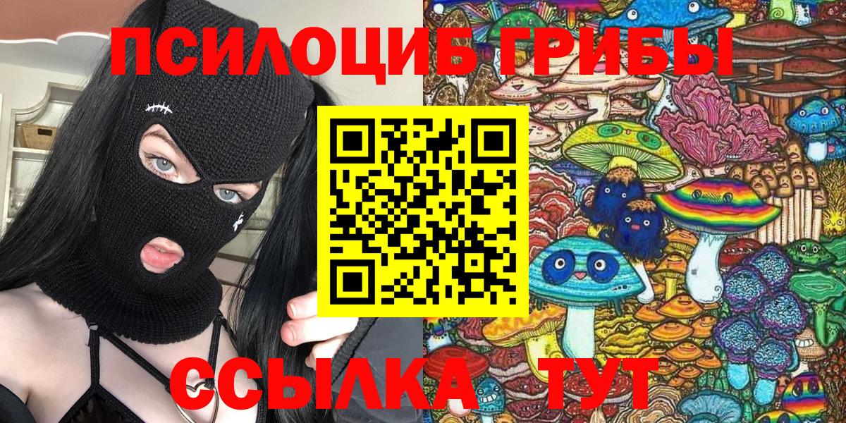 Псилоцибиновые грибы GOLDEN TEACHER Ступино