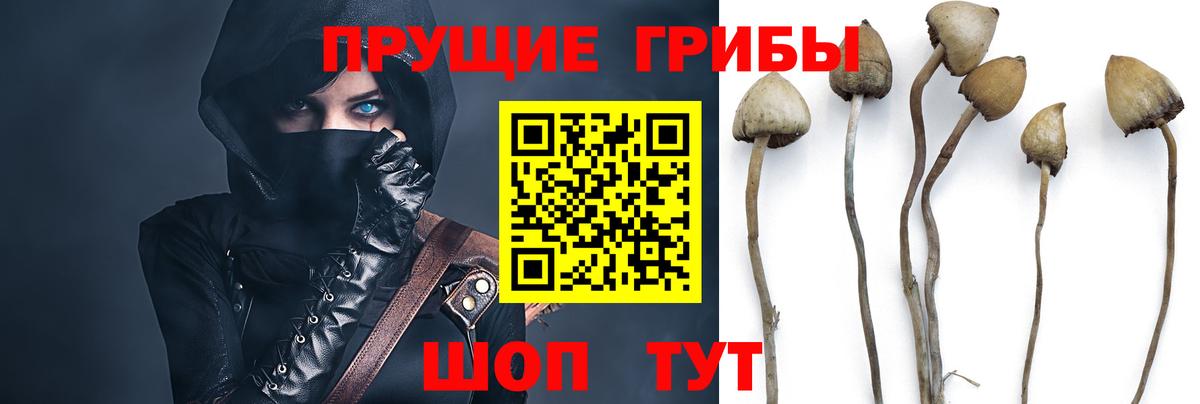 что такое наркотик  Галлюциногенные грибы мицелий  Вход с VPN  Ступино  Псилоцибиновые грибы GOLDEN TEACHER 